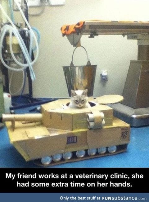 Kitty tank