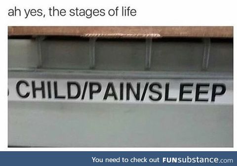 3 stages of life