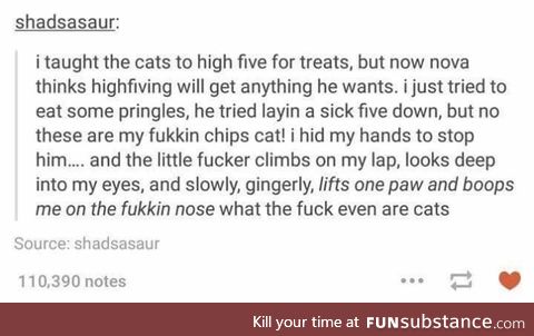 cats are ruthless