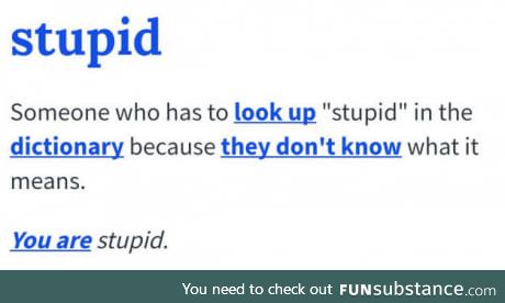 You are stupid