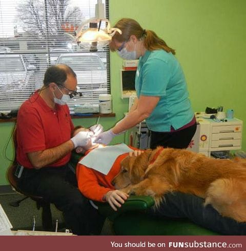 Dog helps boy get over his fear at the dentist