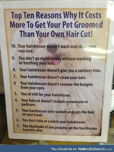 Why taking your dog to the groomer is a bit expensive