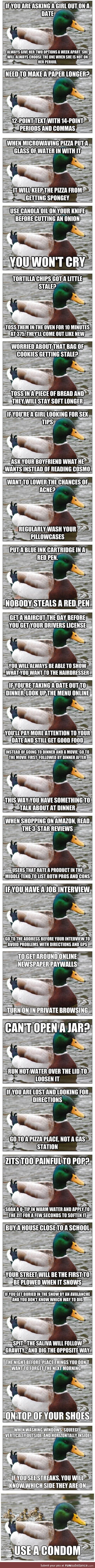 Actual advice mallard comp