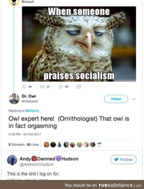 Dr. Owl