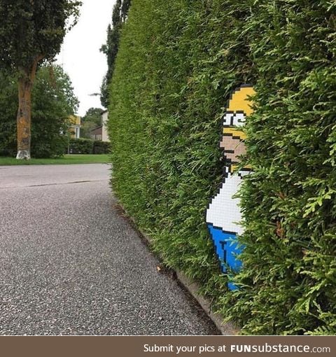 Spotted in sweden
