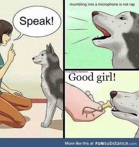 Wise doggo