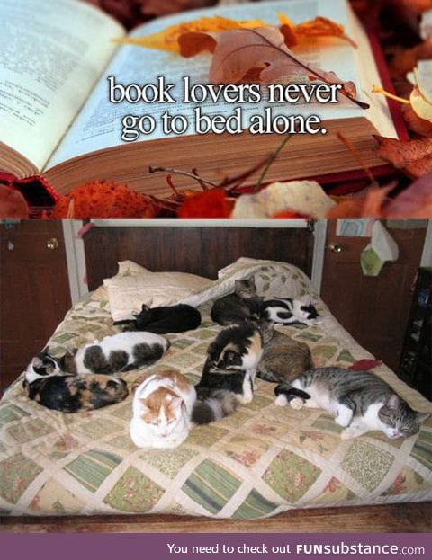 Book lovers will never be alone