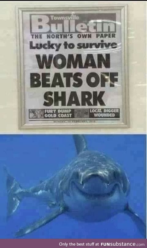 Lucky shark