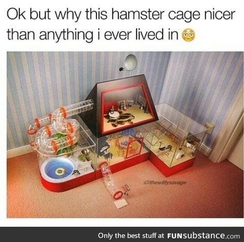 Rich hamster house