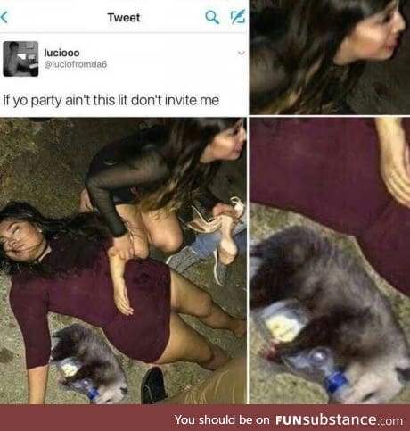 Now that's a real party animal