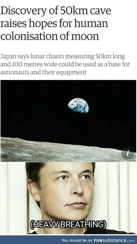 Elon must