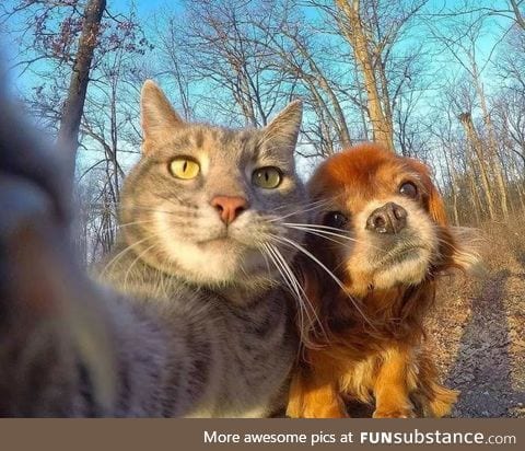 A casual selfie between two friends