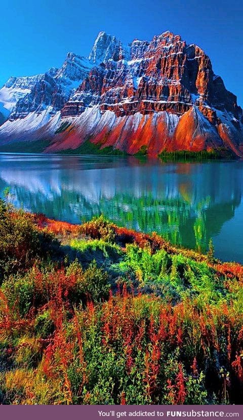 Nature in Colorful splendor