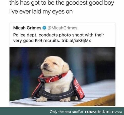 Good recruit
