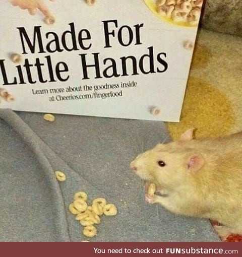 Mad for little hands