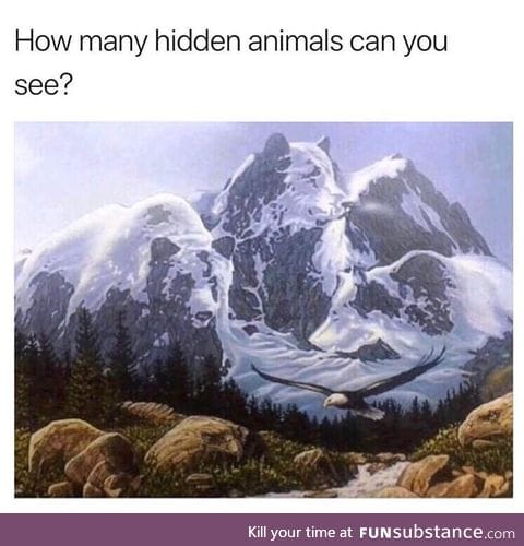 Hidden animals