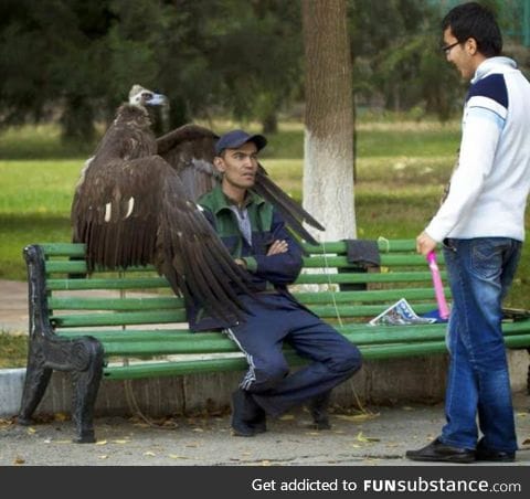 Just a guy in the park...With his vulture