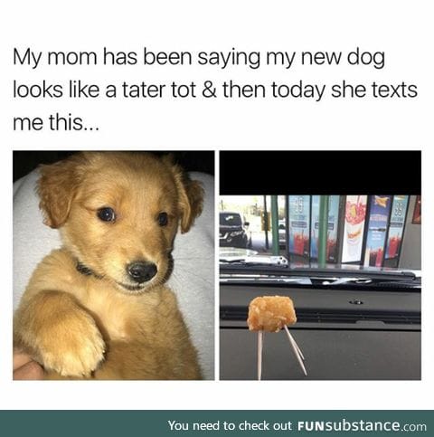 All I see are tater tots
