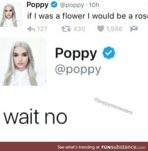A poppy