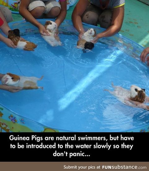 Natural swimmers