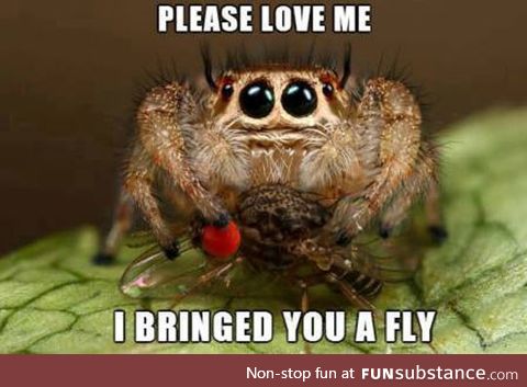 Spider bro just wants love