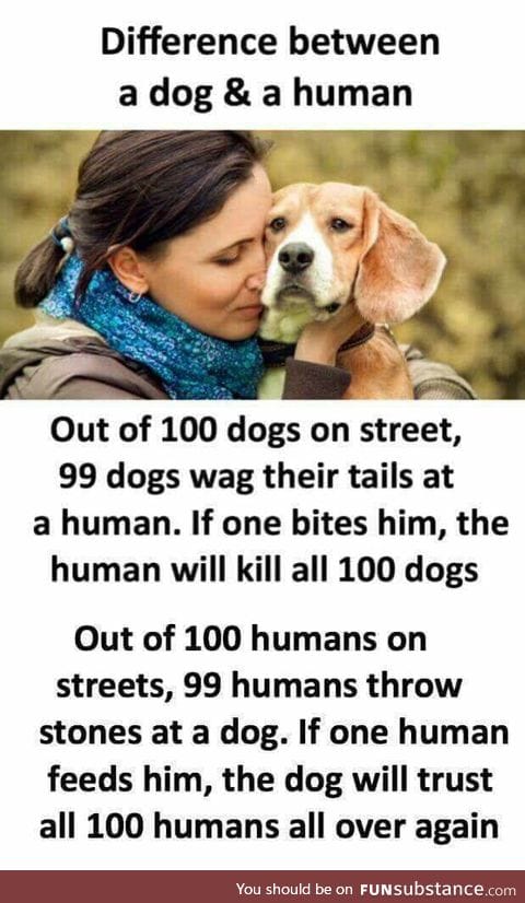 We don't deserve dogs