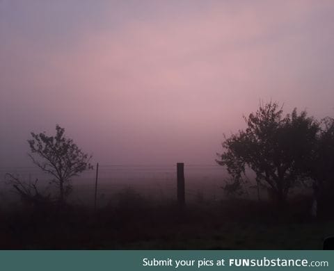 Sunrise with fog looks hauntingly beautiful