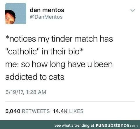 Catholic love cats
