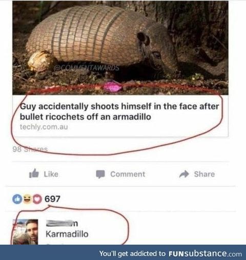 Karma(dillo)