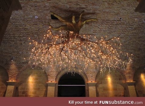 Chandelier made from tree roots