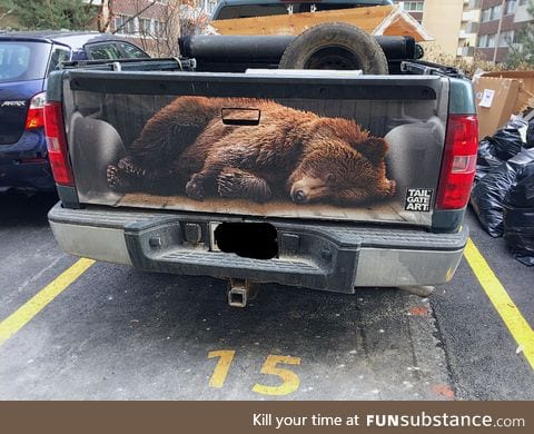 Best tailgate decal I have ever seen!