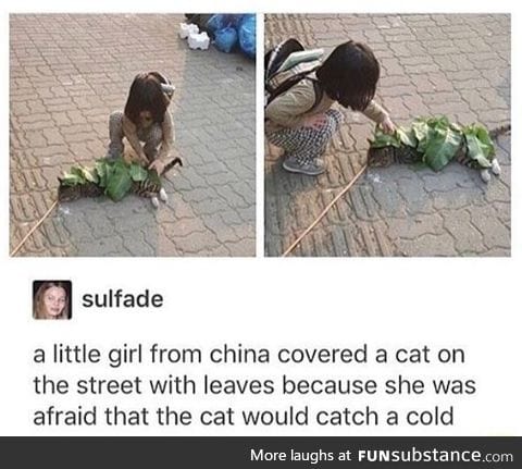 I'm surprised the cat did not kill her