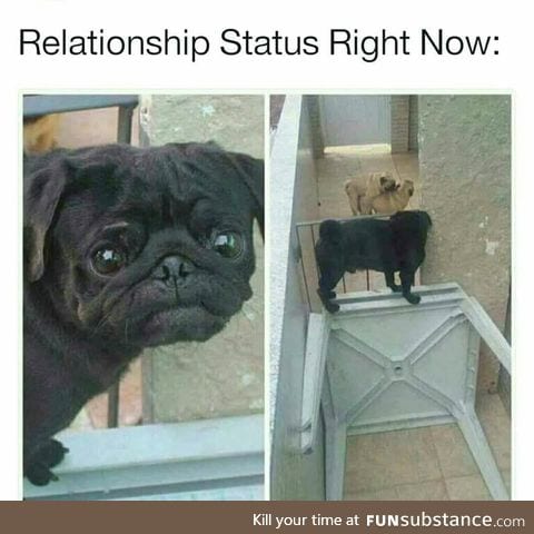 Relationship status right now