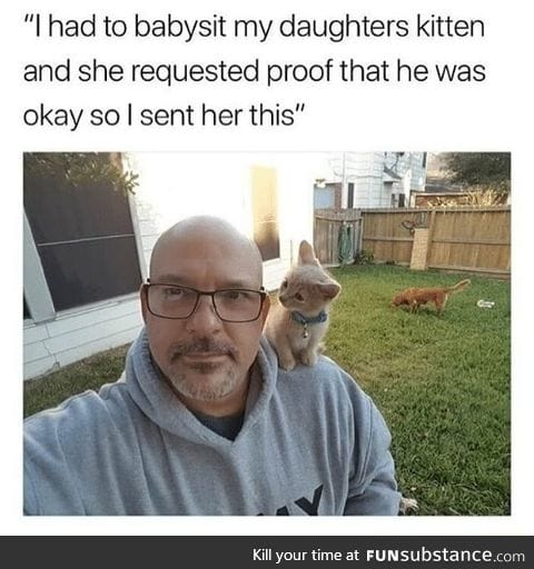 Kitty is ok
