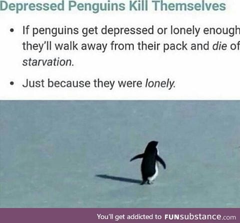 Depressed penguins