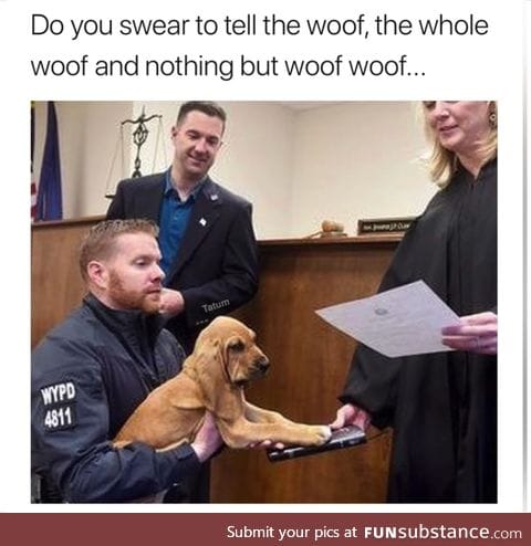 Only the woof