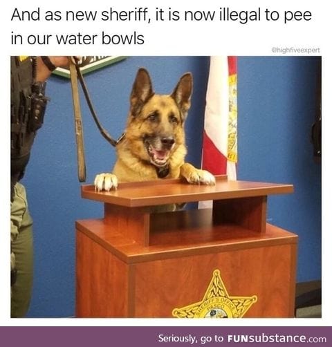 When dogs set the law