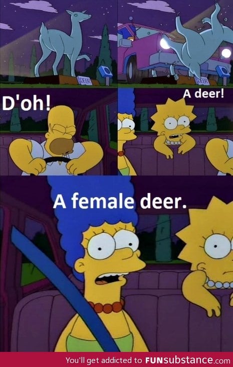 D'oh! A deer!