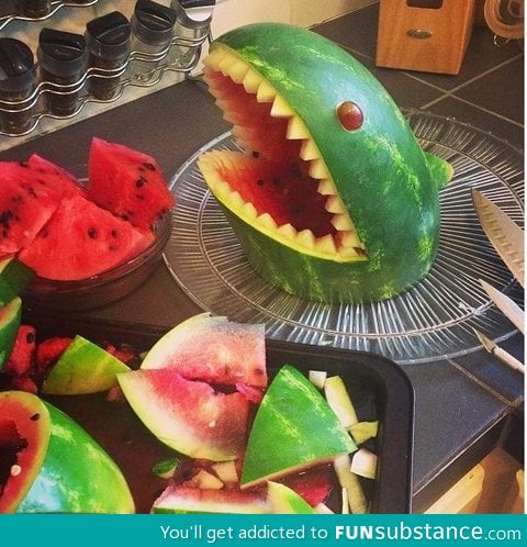 Shark Melon!