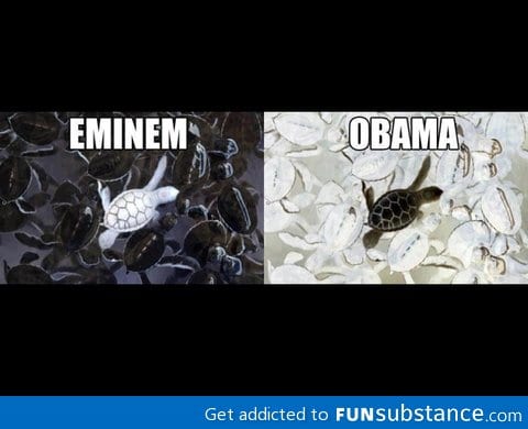 Eminem vs obama