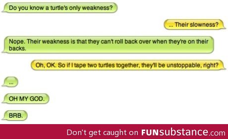 Unstoppable turtles