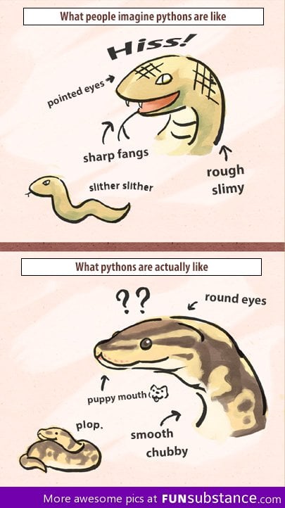 What pythons are really like