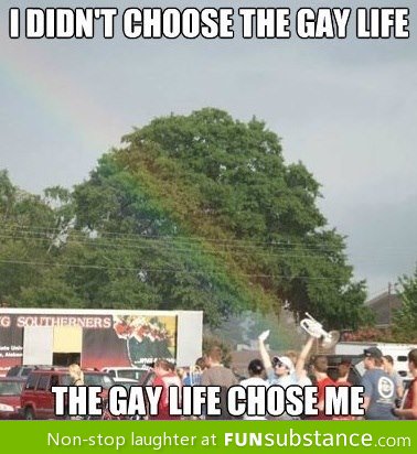 I didn't choose the gay life, the gay life chose me!