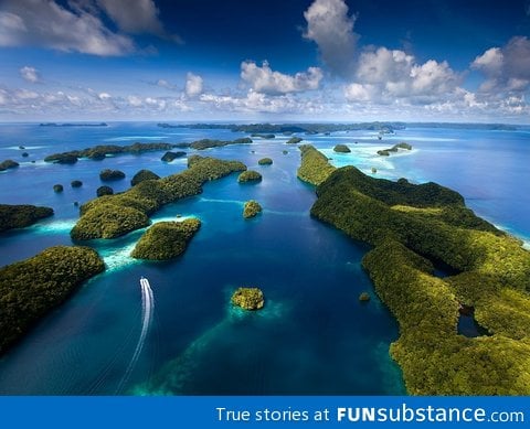 This is palau