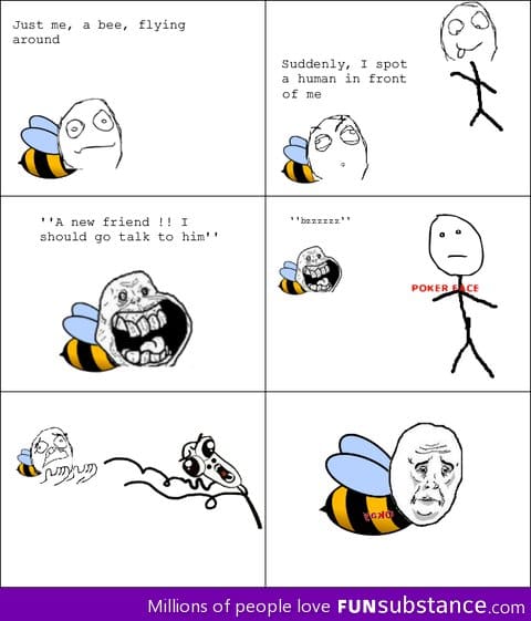 Hard life of a bee