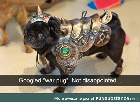 The war pug