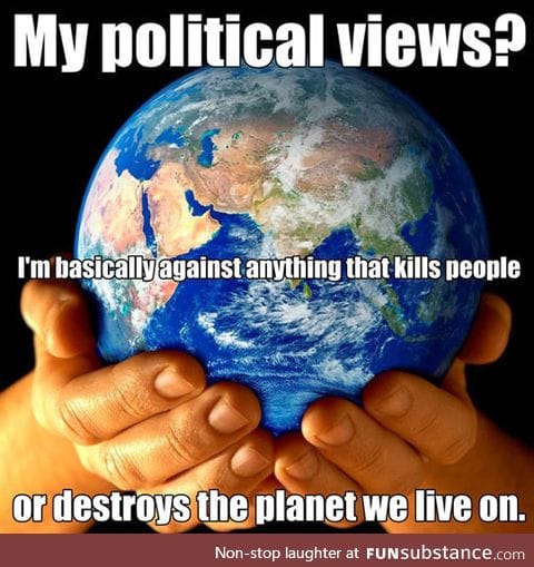 My political views