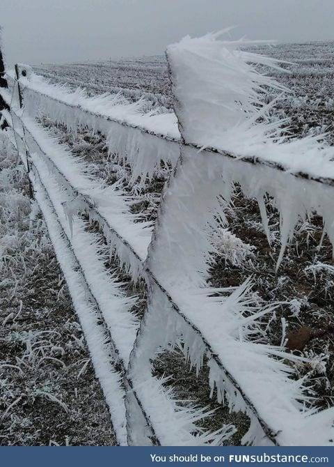 Ice crystals on a barbed wire fence