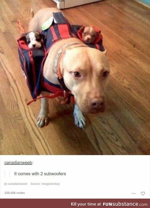 The best kind of woofers