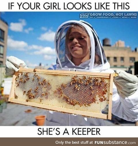 These puns are un bee-leiveable